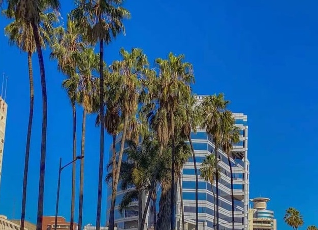 Личные документы: требования к оформлению и образцы документов