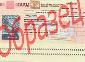 Как получить рабочую визу в России: миграционные законы и процедура