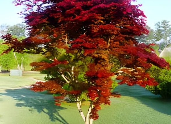 Загранпаспорт для пенсионера: Как без нервов получить заветную книжечку