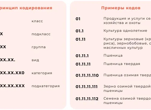 ОКПД2: что это такое и для чего он нужен?