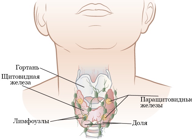Что необходимо сделать для включения «железа» в реестр