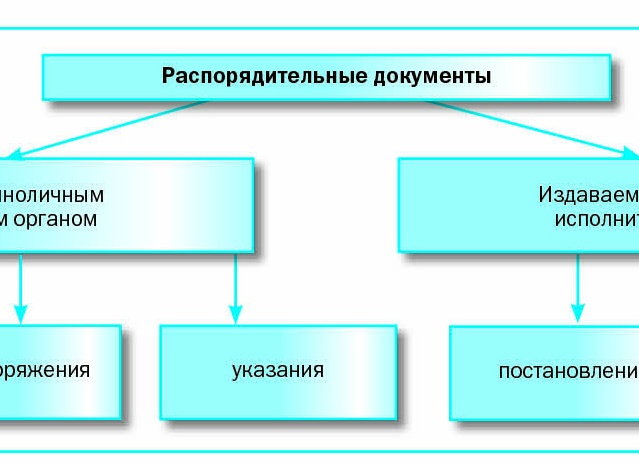 Какие существуют виды организационно-распорядительных документов?