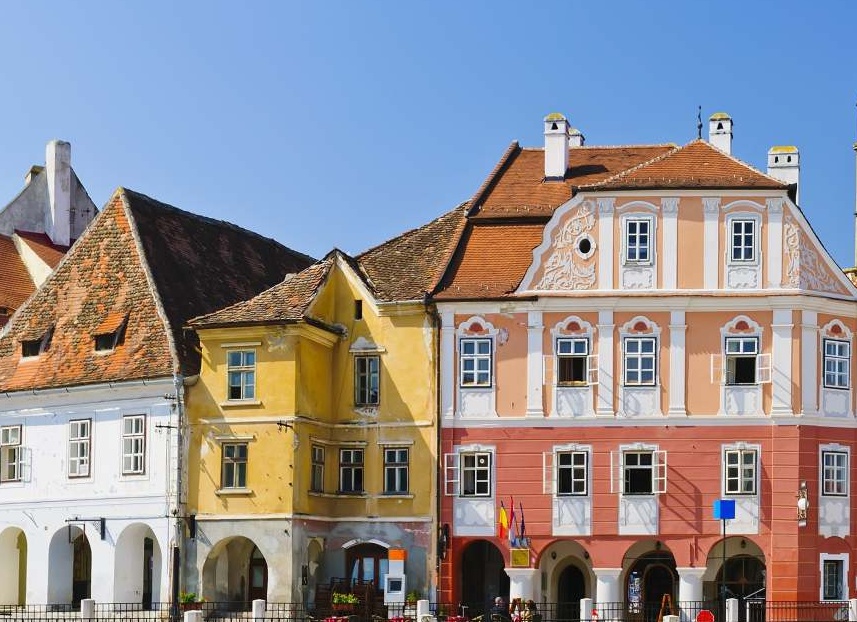 Ветеринарные сопроводительные документы: новые правила оформления с 1 сентября 2023 года