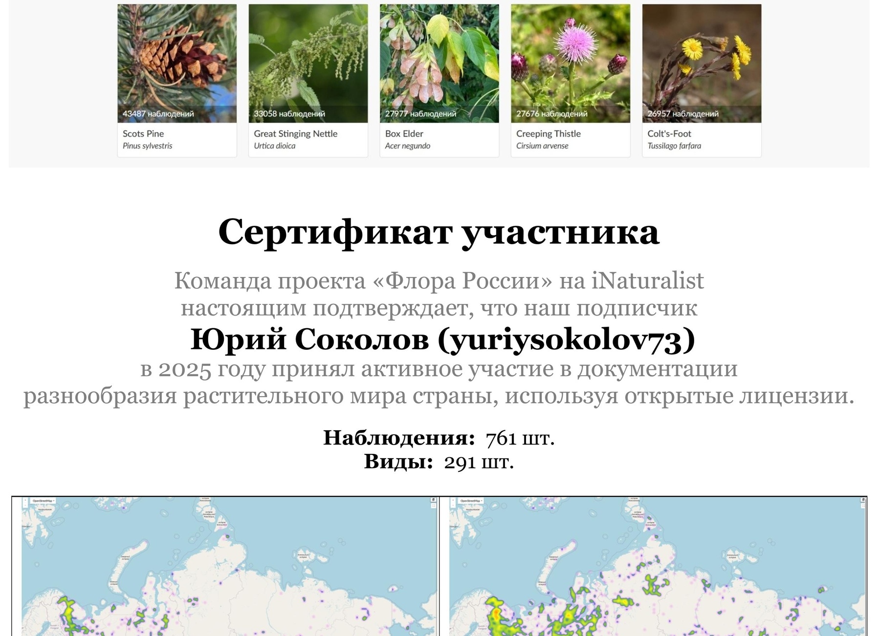 ❓ Какие требования предъявляются проверяющими экспертами к выписке из техпроцесса?